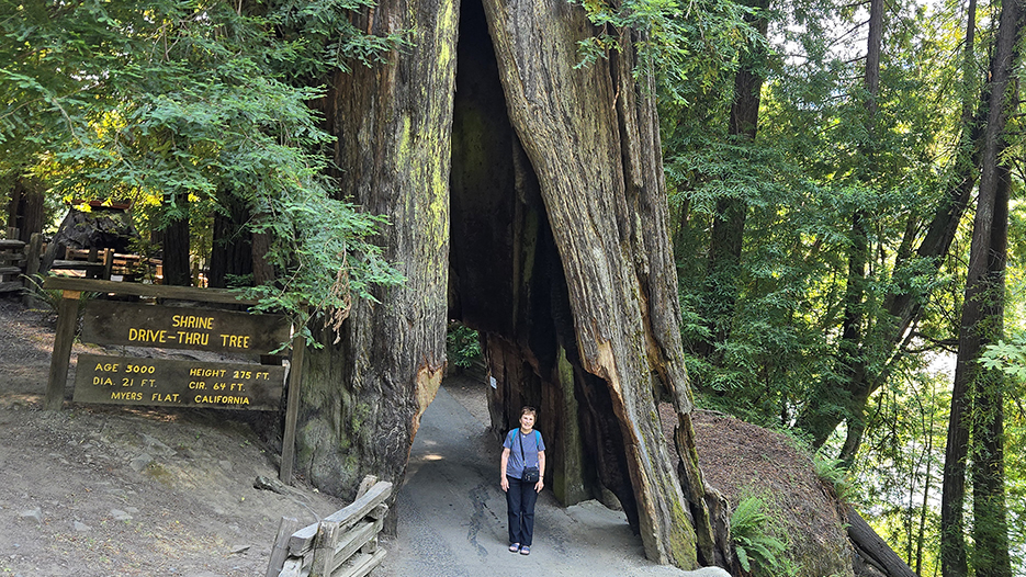 Humboldt State Park